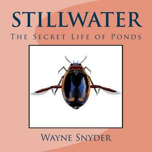 Stillwater: The Secret Life of Ponds by Wayne Snyder