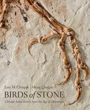 Birds of Stone: Chinese Avian Fossils from the Age of Dinosaurs by Luis M. Chiappe