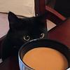 kiesbooks's profile picture