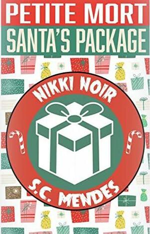 Santa's package by Nikki Noir