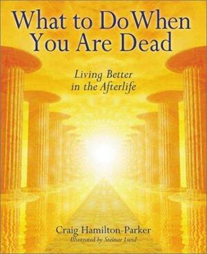 What to Do when You are Dead: Living Better in the Afterlife by Craig Hamilton-Parker