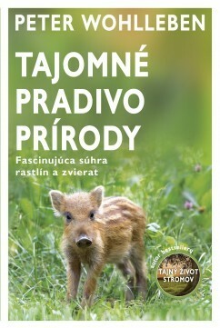 Tajomné pradivo prírody by Peter Wohlleben