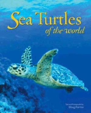 Sea Turtles by Jeff Ripple