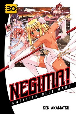 Negima!, Volume 30: Magister Negi Magi by Ken Akamatsu