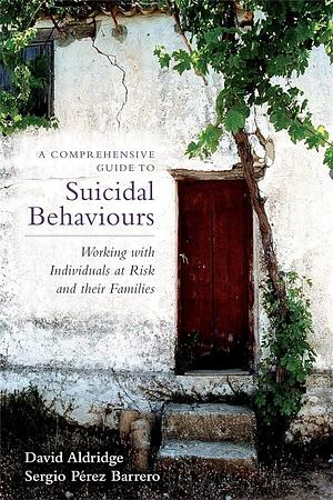A Comprehensive Guide to Suicidal Behaviours: Working with Individuals at Risk and Their Families by David Aldridge, Sergio Perez Barrero