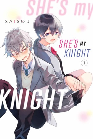 She's My Knight, Volume 1 by Saisou