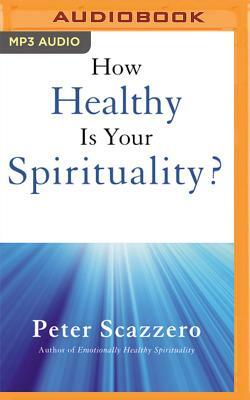 How Healthy Is Your Spirituality?: Why Some Christians Make Lousy Human Beings by Peter Scazzero