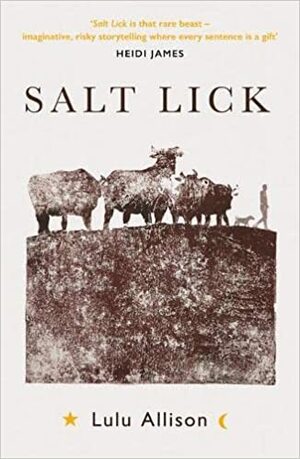 Salt Lick by Lulu Allison