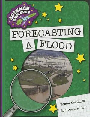 Forecasting a Flood by Tamra B. Orr