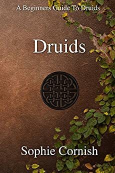 Druids by Sophie Cornish