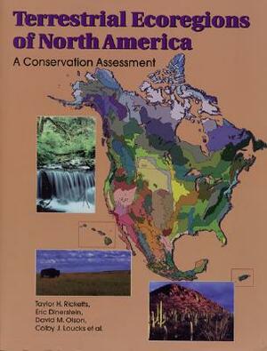 Terrestrial Ecoregions of North America, Volume 1: A Conservation Assessment by Taylor H. Ricketts, Eric Dinerstein, David M. Olson