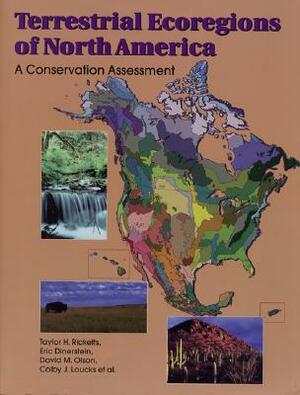 Terrestrial Ecoregions of North America, Volume 1: A Conservation Assessment by David M. Olson, Taylor H. Ricketts, Eric Dinerstein