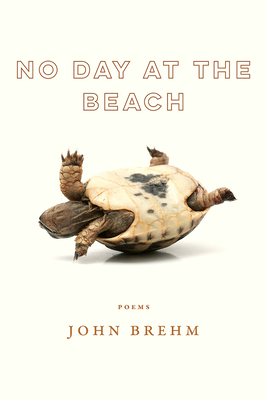 No Day at the Beach by John Brehm