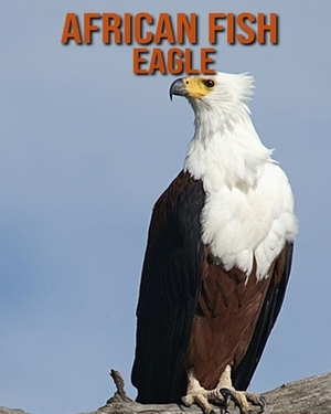 African fish eagle: Amazing Facts about African fish eagle by Devin Haines