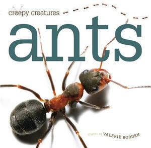 Ants by Valerie Bodden