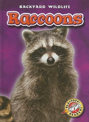 Raccoons by Emily Green