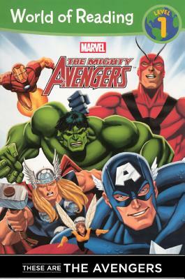 These Are the Avengers by Thomas Macri