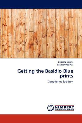 Getting the Basidio Blue Prints by Ghazala Nasim, Mohammad Ali
