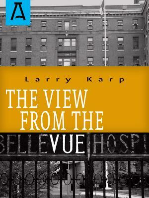 The View from the Vue by Larry Karp