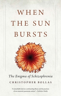 When the Sun Bursts: The Enigma of Schizophrenia by Christopher Bollas