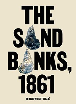 The Sand Banks, 1861 by David Wright Faladé