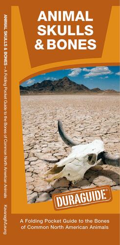 Animal Skulls & Bones: A Waterproof Pocket Guide to the Bones of Common North American Animals by James Kavanagh