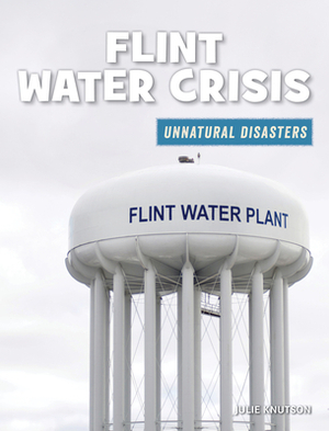 Flint Water Crisis by Julie Knutson