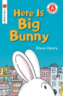 Here Is Big Bunny by Steve Henry