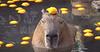 wasneeplus_sebastian's profile picture