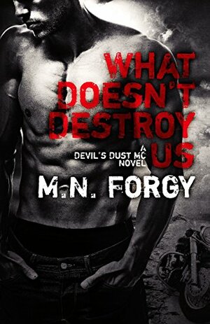 What Doesn't Destroy Us by M.N. Forgy