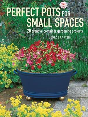 Perfect Pots for Small Spaces: 20 creative container gardening projects by George Carter