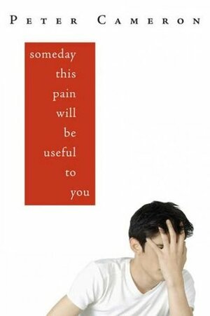 Someday This Pain Will Be Useful to You by Peter Cameron