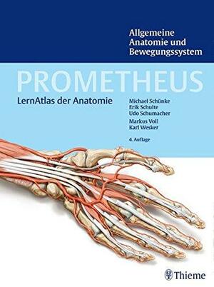 PROMETHEUS Lernatlas der Anatomie: Allgemeine Anatomie und Bewegungssystem by Michael Schünke