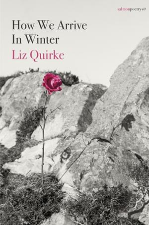 How We Arrive in Winter by Liz Quirke