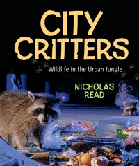 City Critters: Wildlife in the Urban Jungle by Nicholas Read
