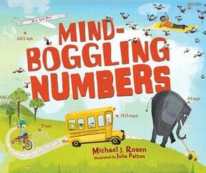 Mind-Boggling Numbers by Julia Patton, Michael J. Rosen