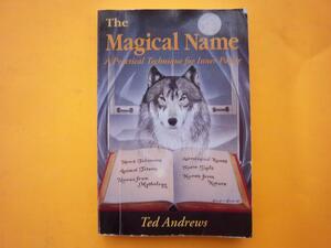 The Magical Name: A Practical Technique for Inner Power by Ted Andrews