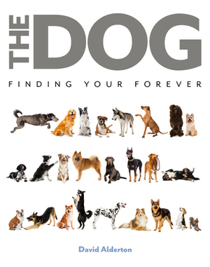 The Dog: Finding Your Forever by David Alderton