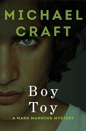Boy Toy by Michael Craft