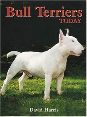 Bull Terriers Today by David Harris