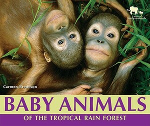 Baby Animals of the Tropical Rain Forest by Carmen Bredeson