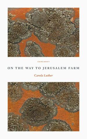 On the Way to Jerusalem Farm by Carola Luther