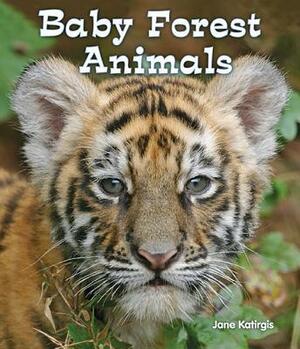 Baby Forest Animals by Jane Katirgis