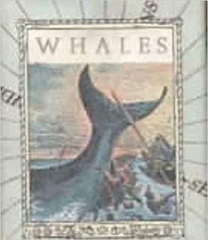 Whales by Burgess