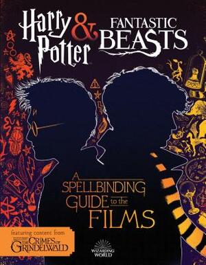A Spellbinding Guide to the Films: Harry Potter and Fantastic Beasts by Michael Kogge