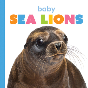 Baby Sea Lions by Kate Riggs