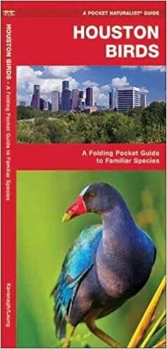 Houston Birds: A Folding Pocket Guide to Familiar Species of the Upper Texas Coast by James Kavanagh