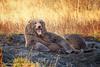 kristie_deaver's profile picture