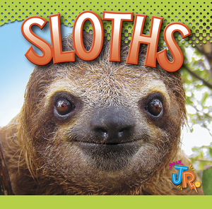 Sloths by Marysa Storm