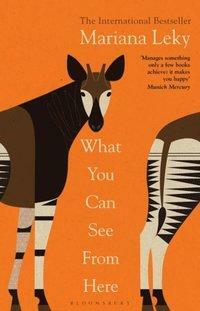 What You Can See From Here by Mariana Leky